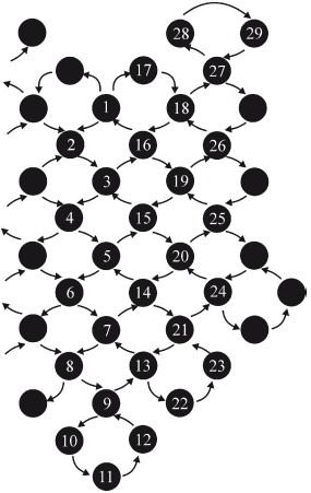 Иллюстрация к книге — Бисер. Украшения на любой вкус [i_138.jpg]