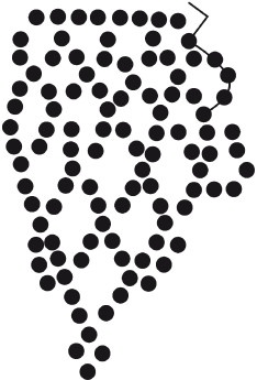 Иллюстрация к книге — Бисер. Украшения на любой вкус [i_158.jpg]