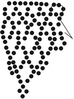 Иллюстрация к книге — Бисер. Украшения на любой вкус [i_159.jpg]