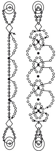 Иллюстрация к книге — Бисер. Украшения на любой вкус [i_169.jpg]