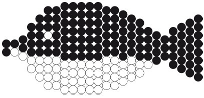 Иллюстрация к книге — Бисер. Украшения на любой вкус [i_180.jpg]