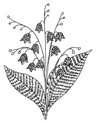 Иллюстрация к книге — Бисер. Украшения на любой вкус [i_185.jpg]