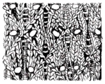 Иллюстрация к книге — Вяжем с узорами для всей семьи [pic_139.jpg]