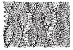 Иллюстрация к книге — Вяжем с узорами для всей семьи [pic_142.jpg]