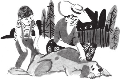 Иллюстрация к книге — Кругосарайное путешествие: рассказы [_5327.jpg]