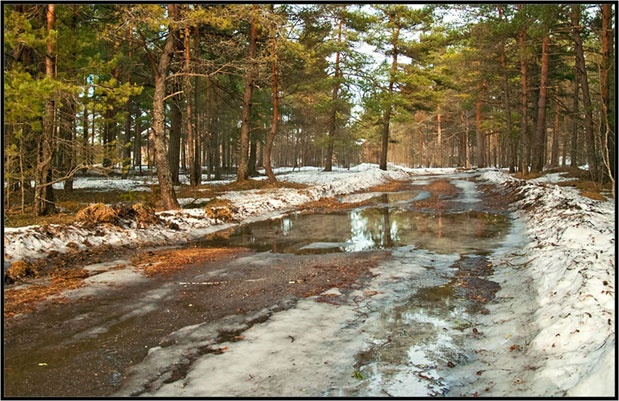Иллюстрация к книге — Новый век начался с понедельника [i_003.jpg]