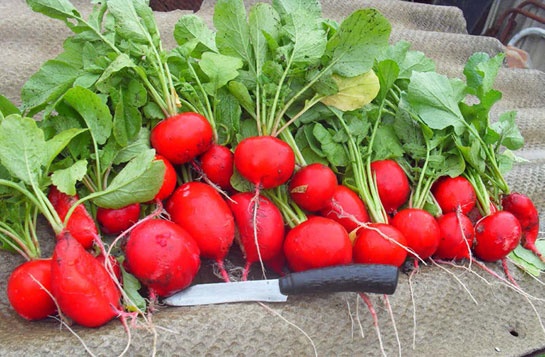 Иллюстрация к книге — Новый век начался с понедельника [i_018.jpg]