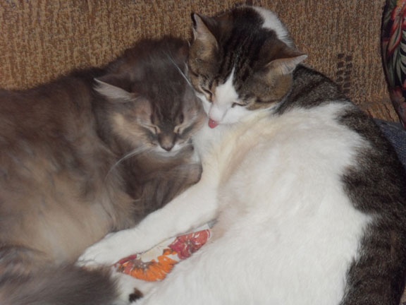 Иллюстрация к книге — Новый век начался с понедельника [i_026.jpg]