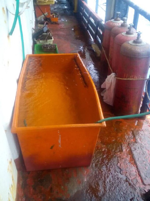 Иллюстрация к книге — Шоу для самого себя – 2 [i_013.jpg]