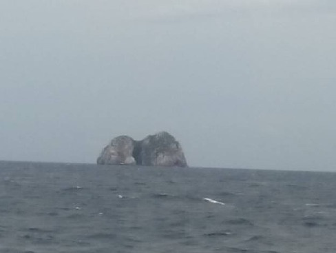 Иллюстрация к книге — Шоу для самого себя – 2 [i_019.jpg]