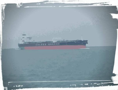 Иллюстрация к книге — Шоу для самого себя – 2 [i_021.jpg]