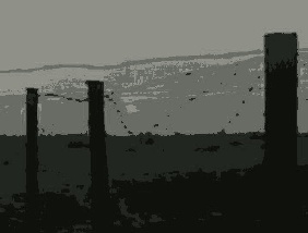 Иллюстрация к книге — Коллаж Осколков (сборник) [i_001.jpg]