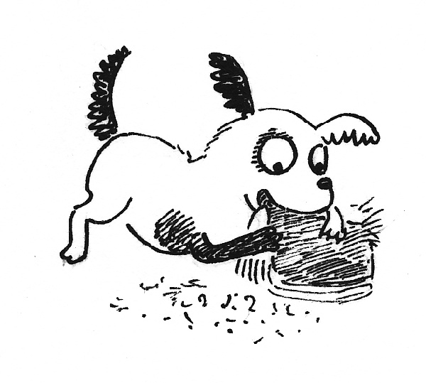 Иллюстрация к книге — Почему русалка плачет [i_028.jpg]