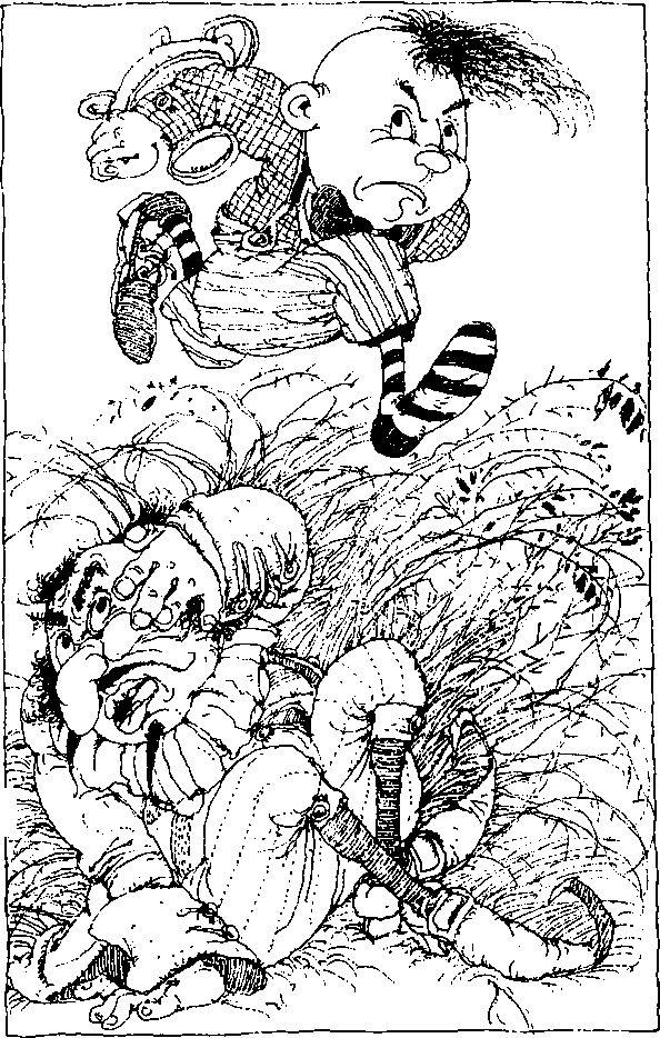 Иллюстрация к книге — Абрафаксы под черным флагом [i_047.jpg]