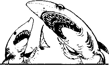 Иллюстрация к книге — Абрафаксы под черным флагом [i_061.jpg]