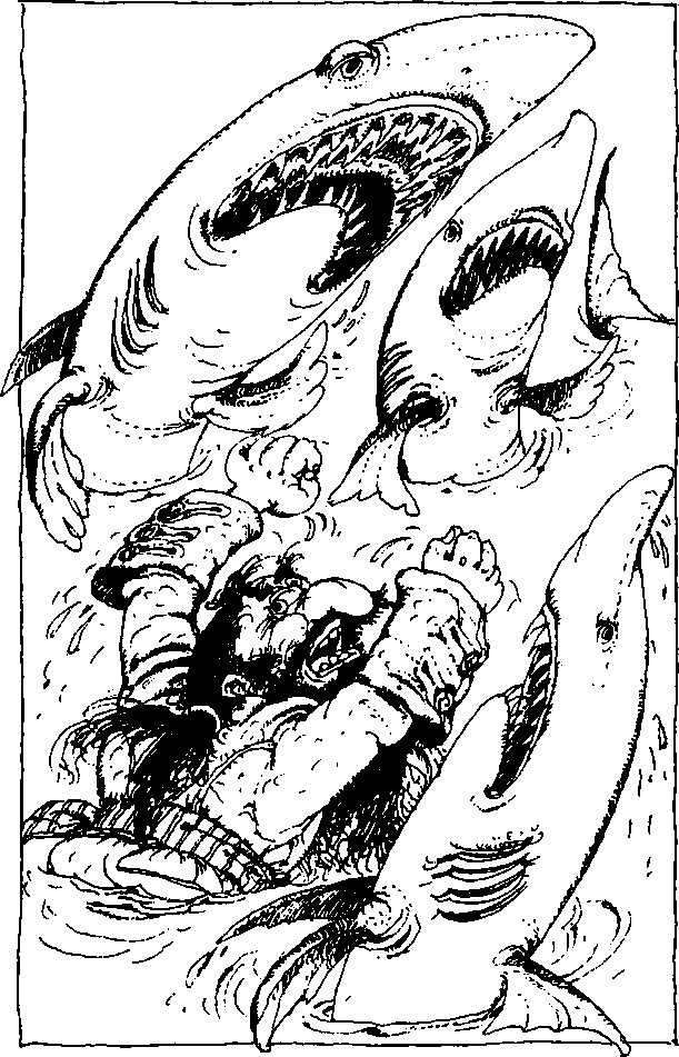 Иллюстрация к книге — Абрафаксы под черным флагом [i_064.jpg]