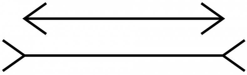 Иллюстрация к книге — Кто за главного? Свобода воли с точки зрения нейробиологии [i_005.jpg]