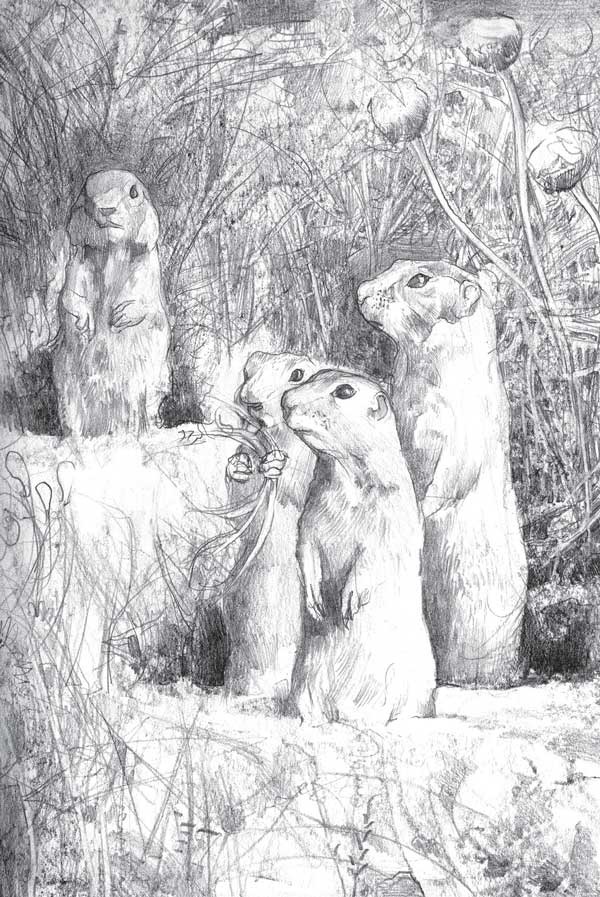 Иллюстрация к книге — В начале пути [i_014.jpg]