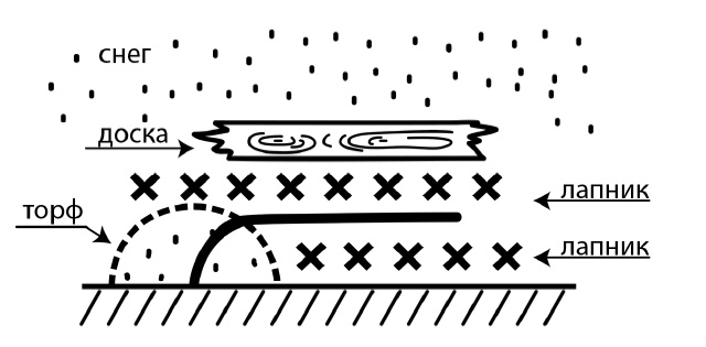 Иллюстрация к книге — Секреты выращивания винограда в любом климате. Проверенные способы формировки винограда [i_011.jpg]