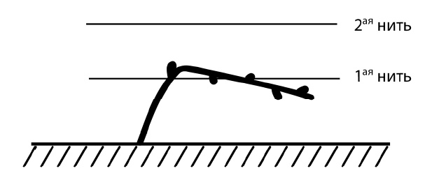 Иллюстрация к книге — Секреты выращивания винограда в любом климате. Проверенные способы формировки винограда [i_013.jpg]