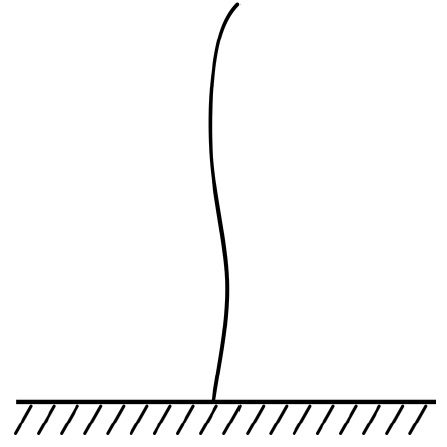 Иллюстрация к книге — Секреты выращивания винограда в любом климате. Проверенные способы формировки винограда [i_018.jpg]