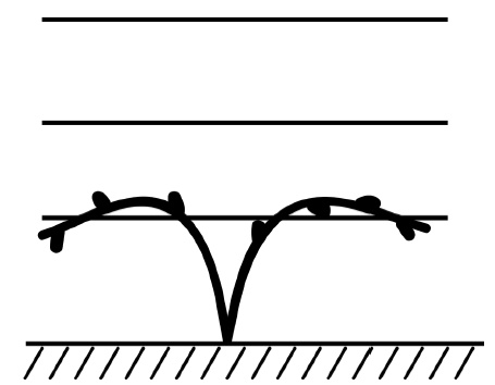Иллюстрация к книге — Секреты выращивания винограда в любом климате. Проверенные способы формировки винограда [i_033.jpg]