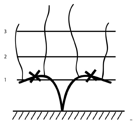 Иллюстрация к книге — Секреты выращивания винограда в любом климате. Проверенные способы формировки винограда [i_035.jpg]