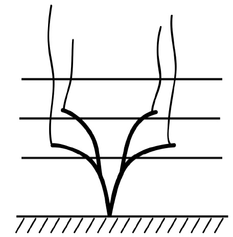 Иллюстрация к книге — Секреты выращивания винограда в любом климате. Проверенные способы формировки винограда [i_042.jpg]
