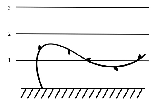Иллюстрация к книге — Секреты выращивания винограда в любом климате. Проверенные способы формировки винограда [i_058.jpg]