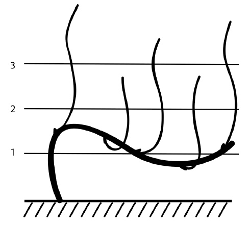 Иллюстрация к книге — Секреты выращивания винограда в любом климате. Проверенные способы формировки винограда [i_059.jpg]
