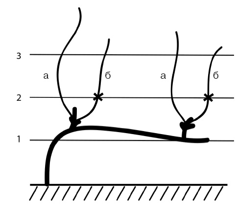 Иллюстрация к книге — Секреты выращивания винограда в любом климате. Проверенные способы формировки винограда [i_061.jpg]