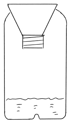 Иллюстрация к книге — Секреты выращивания винограда в любом климате. Проверенные способы формировки винограда [i_087.jpg]