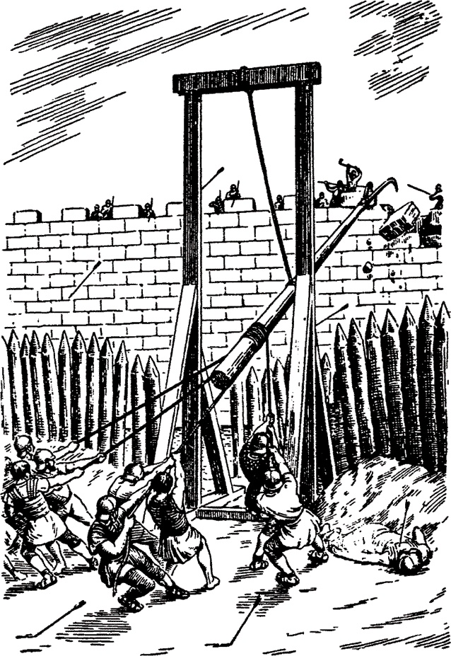 Иллюстрация к книге — История Галльской войны [i_017.jpg]