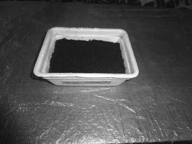 Иллюстрация к книге — Грядка для отличного урожая. Картофель без химии и хлопот, на любой почве [i_007.jpg]