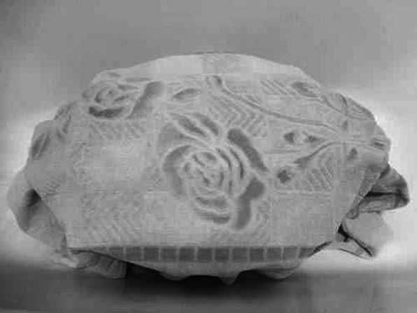 Иллюстрация к книге — Грядка для отличного урожая. Картофель без химии и хлопот, на любой почве [i_012.jpg]