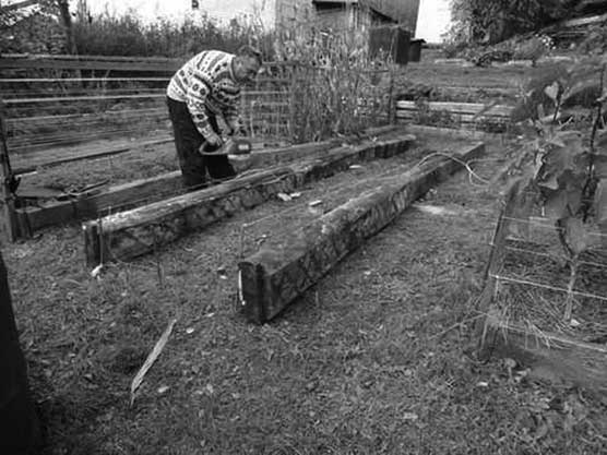 Иллюстрация к книге — Грядка для отличного урожая. Картофель без химии и хлопот, на любой почве [i_022.jpg]