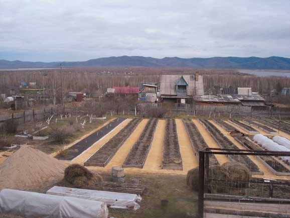 Иллюстрация к книге — Грядка для отличного урожая. Картофель без химии и хлопот, на любой почве [i_072.jpg]