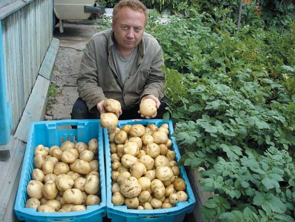 Иллюстрация к книге — Грядка для отличного урожая. Картофель без химии и хлопот, на любой почве [i_082.jpg]