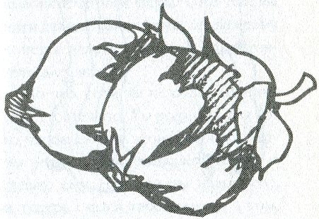 Иллюстрация к книге — Любовь в шоколаде. Правила счастливой жизни [i_006.jpg]