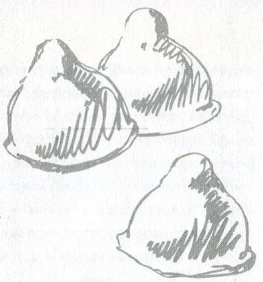 Иллюстрация к книге — Любовь в шоколаде. Правила счастливой жизни [i_039.jpg]