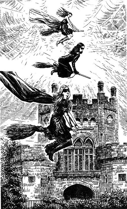 Иллюстрация к книге — Шагренья. Из рода Чёрных Королев [i_001.jpg]