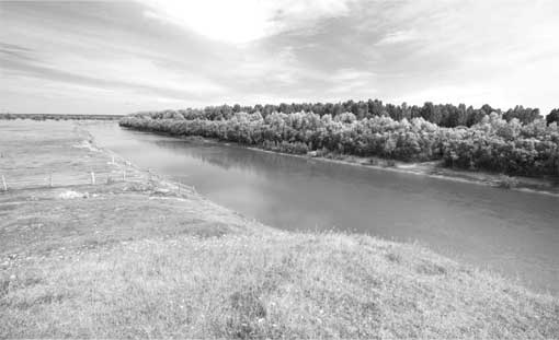 Иллюстрация к книге — Тайны подводного мира [i_008.jpg]