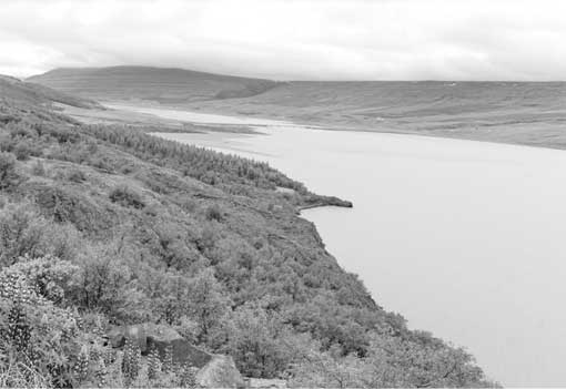 Иллюстрация к книге — Тайны подводного мира [i_016.jpg]