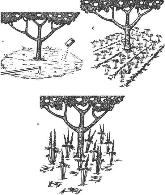 Иллюстрация к книге — Большая книга сада и огорода по-новому [i_002.jpg]