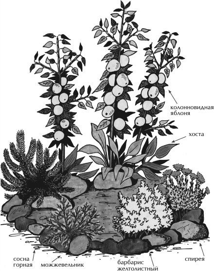 Иллюстрация к книге — Большая книга сада и огорода по-новому [i_007.jpg]