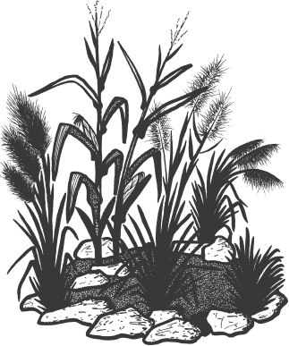 Иллюстрация к книге — Большая книга сада и огорода по-новому [i_008.jpg]