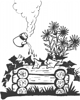 Иллюстрация к книге — Большая книга сада и огорода по-новому [i_015.jpg]