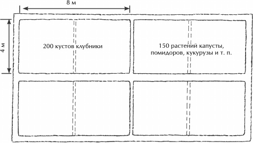 Иллюстрация к книге — Большая книга сада и огорода по-новому [i_018.jpg]