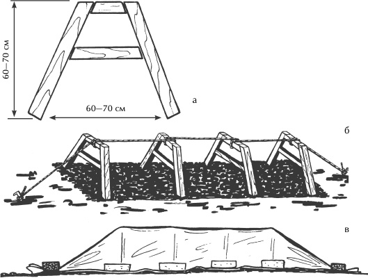 Иллюстрация к книге — Большая книга сада и огорода по-новому [i_024.jpg]