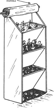 Иллюстрация к книге — Большая книга сада и огорода по-новому [i_027.jpg]